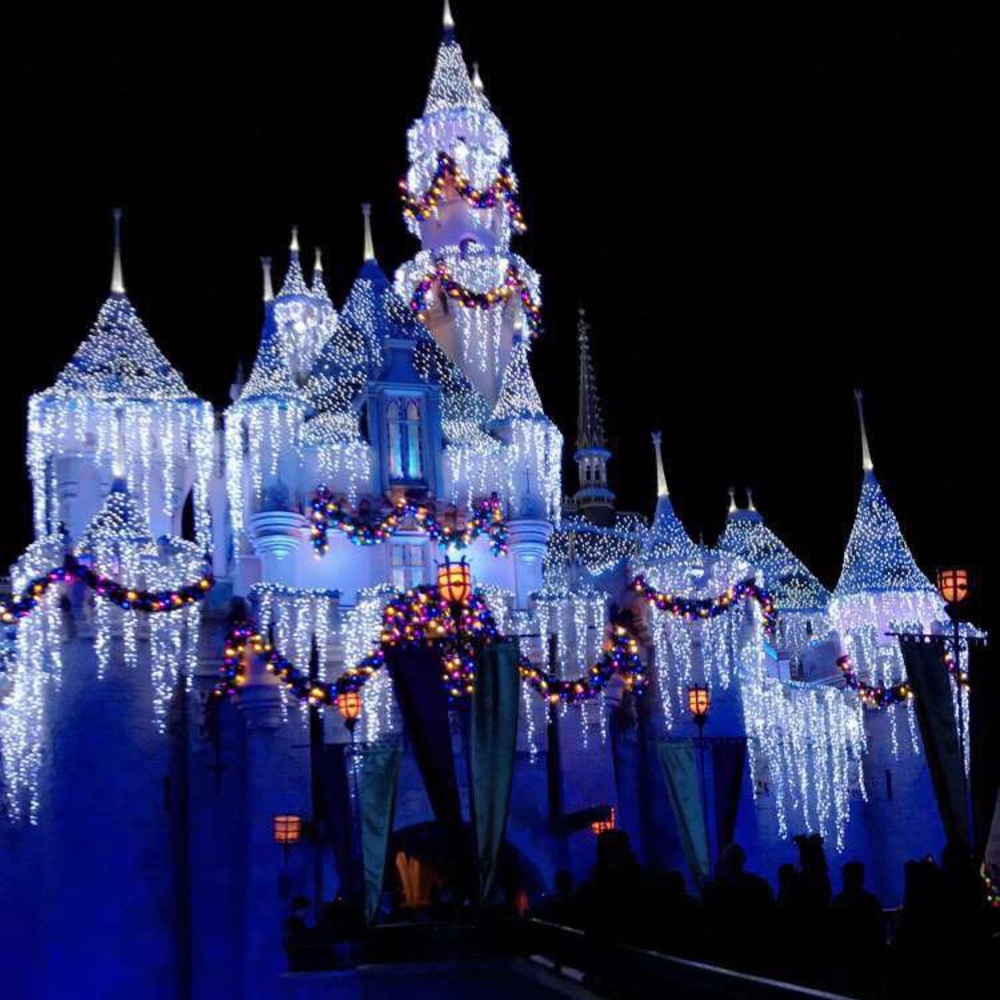 Meet your Posher, Paulina